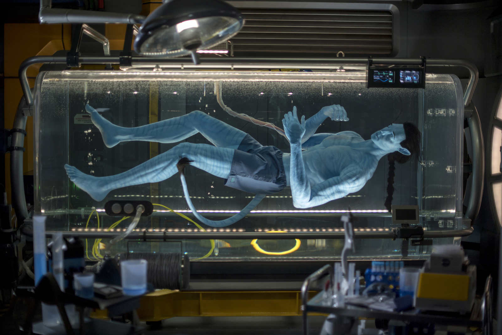 Avatar Flight of Passage, a 3-D thrilling adventure set to open on Pandora ? The World of Avatar at Disney?s Animal Kingdom, offers guests the chance to connect with an avatar and soar on a banshee over Pandora. The journey begins in the queue, as guests get a peek inside a high-tech research lab to view an avatar still in its growth state inside an amnio tank. The room features charts and screens that show just how humans will