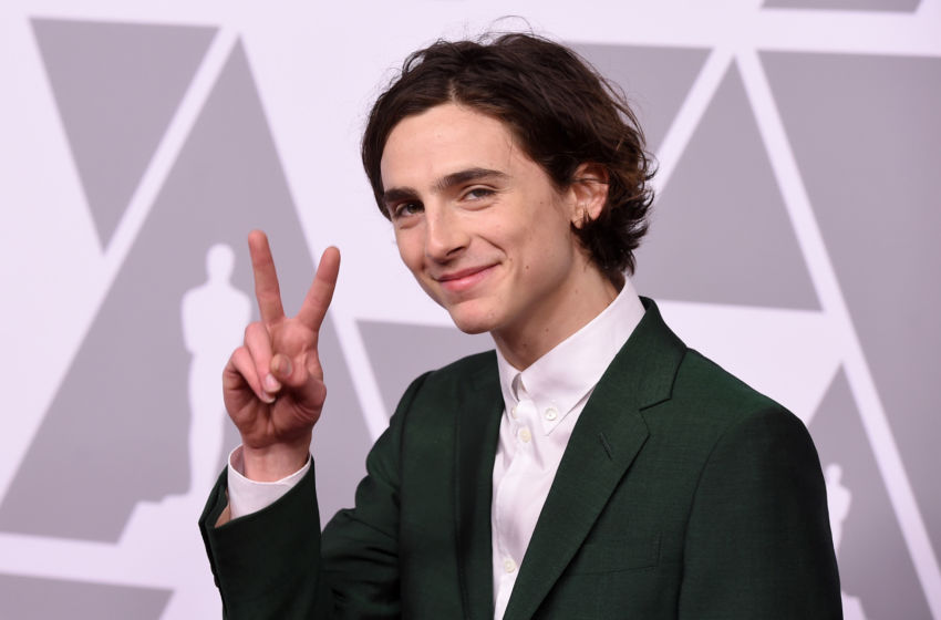BEVERLY HILLS, CA - FEBRUARY 05: Actor Timothee Chalamet attends the 90th Annual Academy Awards Nominee Luncheon at The Beverly Hilton Hotel on February 5, 2018 in Beverly Hills, California. (Photo by Kevin Winter/Getty Images)